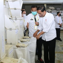 Ambisi Jokowi: RI Swasembada Beras, Bisa Produksi 12 Ton!