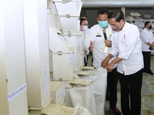 Ambisi Jokowi: RI Swasembada Beras, Bisa Produksi 12 Ton!