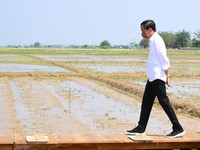 Simak! Ini Sinyal Jokowi untuk Harga BBM Subsidi & LPG 3 Kg