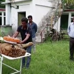 Tertua di Dunia, Raja Akhirnya Meninggal