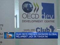 Duh! Oecd Prediksi Ekonomi Global Melambat Jadi 3% Tahun Ini