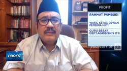 HKTI Sebut 2 Syarat RI Bisa Capai Swasembada Pangan, Apa Itu?