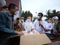 Bye Kiamat Ayam! RI Siap Kirim 1.000 Ton Ayam ke Singapura