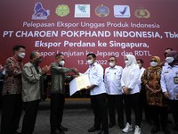 Ayam RI Akhirnya Resmi Tembus Pasar Singapura