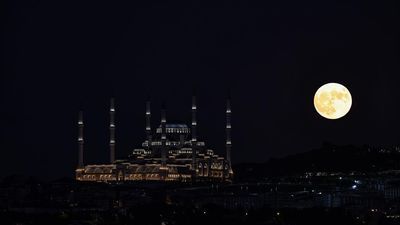 img-title