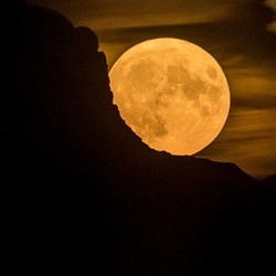 Di Balik Purnama Malam Ini, Ada Cerita Tanduk Rusa Emas di Hutan Purba