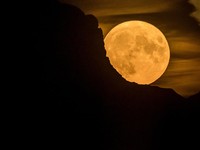 Di Balik Purnama Malam Ini, Ada Cerita Tanduk Rusa Emas di Hutan Purba