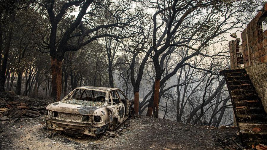 POMBAL, PORTUGAL - JULY 14: This photograph shows a car and burnt house at Ansiao on July 14, 2022 in Pombal, Portugal. Wildfires have swept across the central part of the country amid temperatures exceeding 40 degrees celsius. (Photo by Octavio Passos/Getty Images)