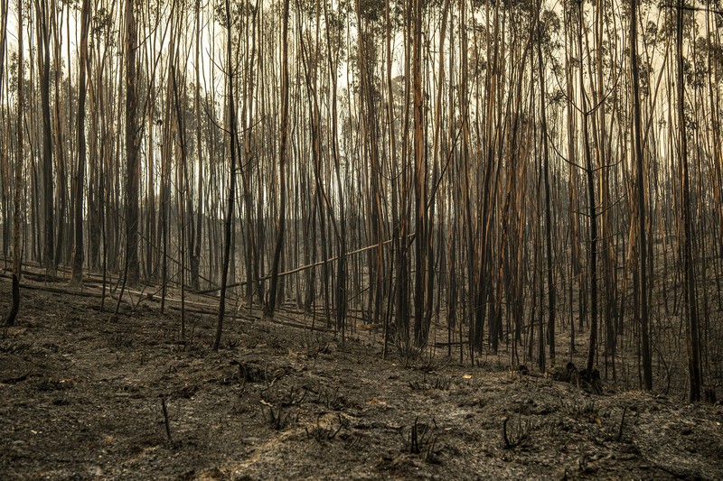POMBAL, PORTUGAL - JULY 14: This photograph shows a burnt car on a carpentry company at Ansiao on July 14, 2022 in Pombal, Portugal. Wildfires have swept across the central part of the country amid temperatures exceeding 40 degrees celsius. (Photo by Octavio Passos/Getty Images)