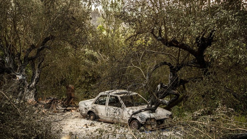 POMBAL, PORTUGAL - JULY 14: This photograph shows a burnt car on a carpentry company at Ansiao on July 14, 2022 in Pombal, Portugal. Wildfires have swept across the central part of the country amid temperatures exceeding 40 degrees celsius. (Photo by Octavio Passos/Getty Images)