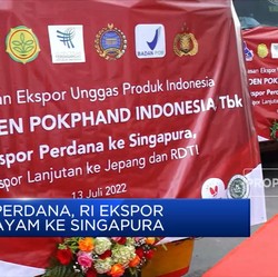 Perdana, RI Ekspor Ayam Ke Singapura
