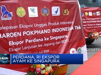 Perdana, RI Ekspor Ayam Ke Singapura