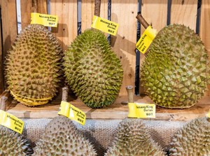 Mengenal Keistimewaan Durian Musang King, Raja Buah dari Negeri Jiran