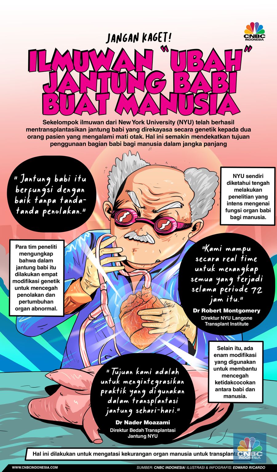 Infografis, Jantung Babi Berhasil Dicangkok ke Manusia, Ini Buktinya
