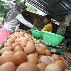 Ya Ampun, Harga Sembako Beterbangan, Ada yang Cetak Rekor