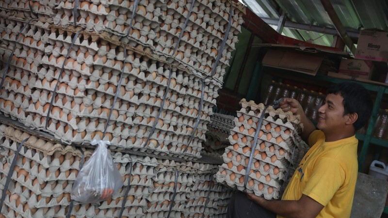 Pedagang melayani pembeli telur ayam di kawasan Pejaten, Jakarta Selatan, Kamis (14/7/2022). Harga telur terpantau masih mahal dan belum kembali ke posisi tahun 2021. (CNBC Indonesia/Andrean Kristianto) Pedagang melayani pembeli telur ayam di kawasan Pejaten, Jakarta Selatan, Kamis (14/7/2022). Harga telur terpantau masih mahal dan belum kembali ke posisi tahun 2021. (CNBC Indonesia/Andrean Kristianto)