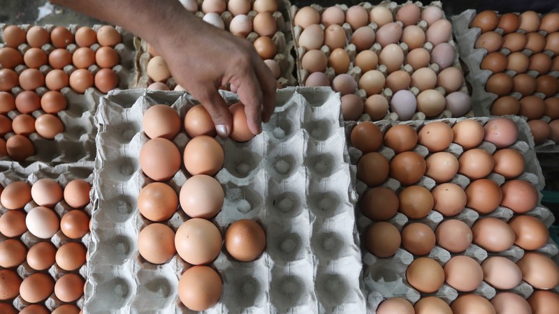 Pedagang melayani pembeli telur ayam di kawasan Pejaten, Jakarta Selatan, Kamis (14/7/2022). Harga telur terpantau masih mahal dan belum kembali ke posisi tahun 2021. (CNBC Indonesia/Andrean Kristianto) Pedagang melayani pembeli telur ayam di kawasan Pejaten, Jakarta Selatan, Kamis (14/7/2022). Harga telur terpantau masih mahal dan belum kembali ke posisi tahun 2021. (CNBC Indonesia/Andrean Kristianto)
