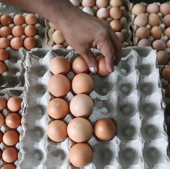 Di Luar Perang, Harga Pangan RI Ini Makin 'Terbang'