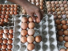 Benarkah Telur Bisa Bikin Kolesterol Tinggi? Cek Faktanya