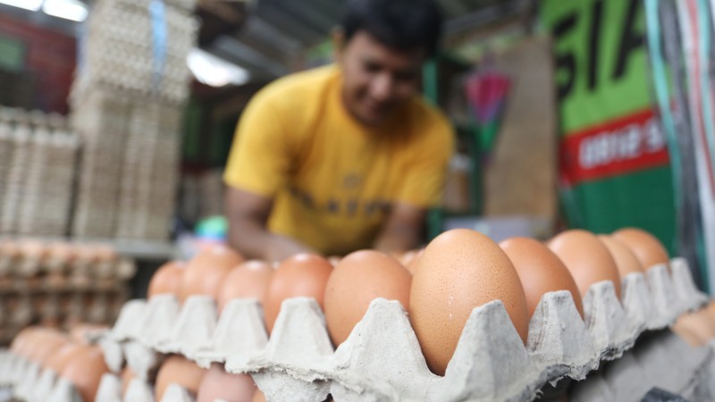 Pedagang melayani pembeli telur ayam di kawasan Pejaten, Jakarta Selatan, Kamis (14/7/2022). Harga telur terpantau masih mahal dan belum kembali ke posisi tahun 2021. (CNBC Indonesia/Andrean Kristianto) Pedagang melayani pembeli telur ayam di kawasan Pejaten, Jakarta Selatan, Kamis (14/7/2022). Harga telur terpantau masih mahal dan belum kembali ke posisi tahun 2021. (CNBC Indonesia/Andrean Kristianto)