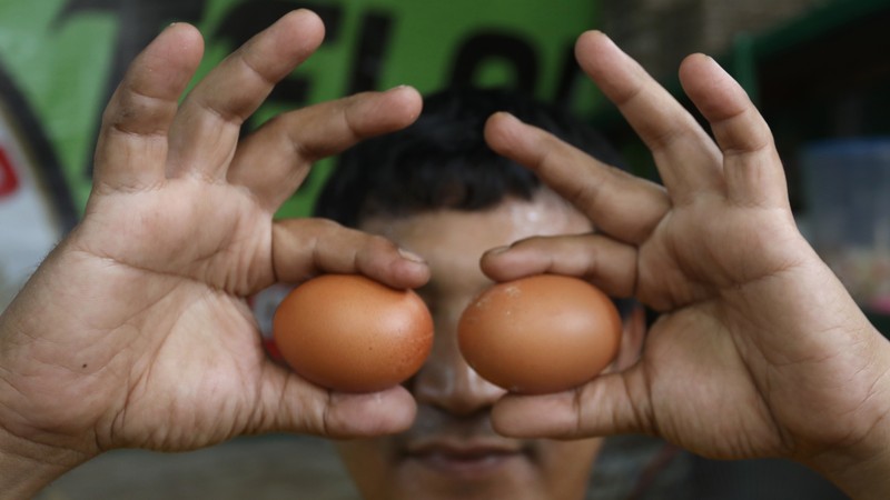 Pedagang melayani pembeli telur ayam di kawasan Pejaten, Jakarta Selatan, Kamis (14/7/2022). Harga telur terpantau masih mahal dan belum kembali ke posisi tahun 2021. (CNBC Indonesia/Andrean Kristianto) Pedagang melayani pembeli telur ayam di kawasan Pejaten, Jakarta Selatan, Kamis (14/7/2022). Harga telur terpantau masih mahal dan belum kembali ke posisi tahun 2021. (CNBC Indonesia/Andrean Kristianto)