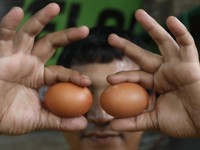 Sering Makan Telur Bikin Kolesterol Tinggi, Mitos atau Fakta?