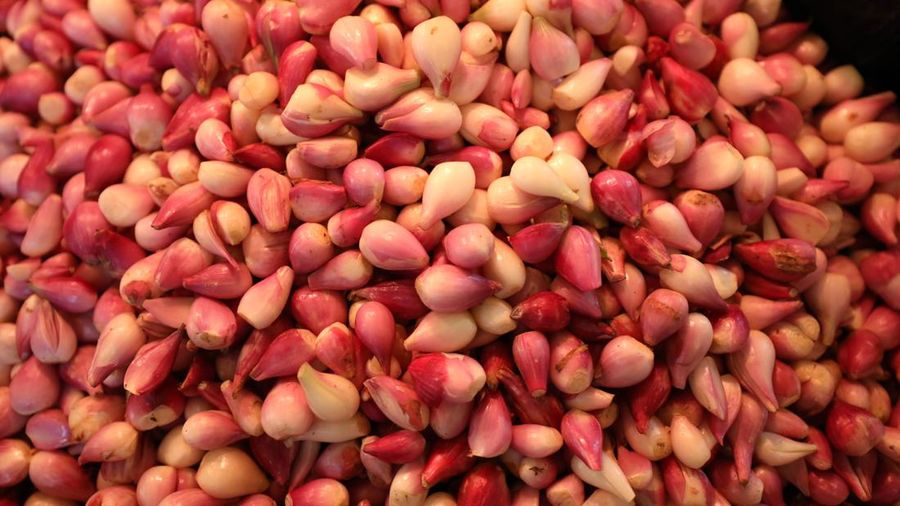 Bawang Merah (²©²ÊÍøÕ¾/Tri Susilo)