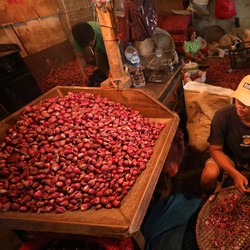 Geger Harga Bawang Merah 'Meledak' Parah, Pedagang & Emak-Emak Ngamuk