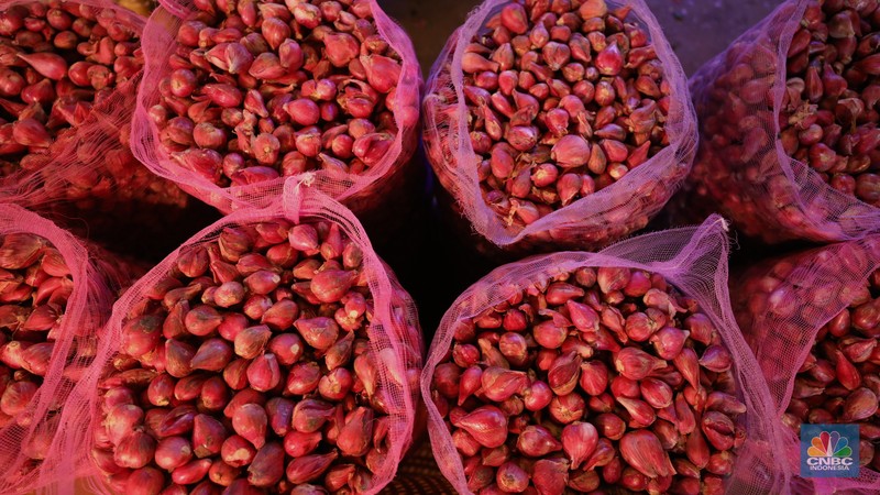Bawang Merah (CNBC Indonesia/Tri Susilo)