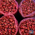 Harga Bawang Merah Menggila - Sempat ke Rp80.000, Ini Penyebabnya