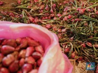 Ternyata Ini Biang Kerok Utama Harga Bawang Merah Mendadak Meledak