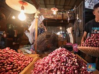 Brebes Banjir, Bawang Merah Bima Siap Jadi Juru Selamat Redam Harga