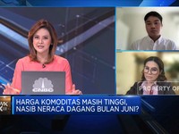 Harga Komoditas Tinggi Topang Surplus Neraca Dagang Juni 2022