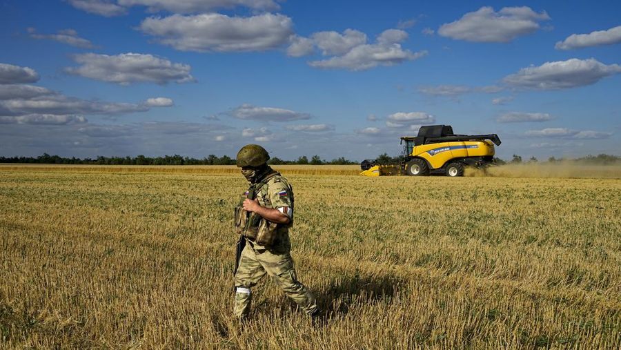 Farmers of the Voznesenka-Agro farm harvest with their combine in a wheat field not far from Melitopol, south Ukraine, Thursday, July 14, 2022. About 300,000 tonnes of harvest have been collected in Melitopol district of Zaporizhzhia region. Russia took control of part of the Zaporizhzhia region quickly after the launch of the military operation in Ukraine. This photo was taken during a trip organized by the Russian Ministry of Defense. (AP Photo)