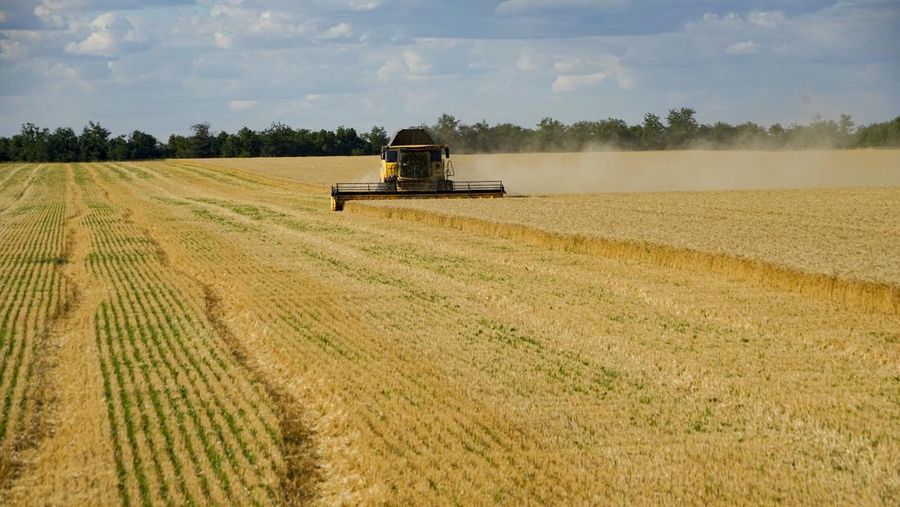 Farmers of the Voznesenka-Agro farm harvest with their combine in a wheat field not far from Melitopol, south Ukraine, Thursday, July 14, 2022. About 300,000 tonnes of harvest have been collected in Melitopol district of Zaporizhzhia region. Russia took control of part of the Zaporizhzhia region quickly after the launch of the military operation in Ukraine. This photo was taken during a trip organized by the Russian Ministry of Defense. (AP Photo)