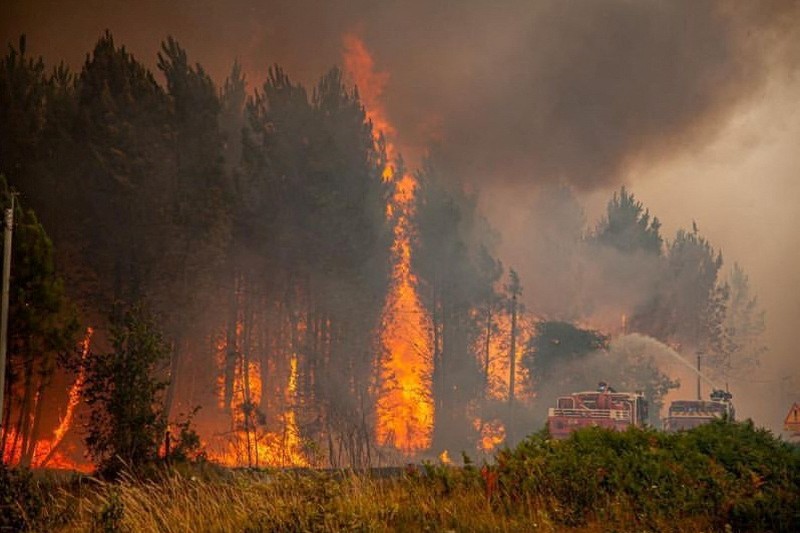 Petugas pemadam kebakaran bekerja setelah kebakaran yang terjadi di dekat Landiras, saat kebakaran hutan terus menyebar di wilayah Gironde di barat daya Prancis, Sabtu (16/7/2022). (SDIS 33 via AP)
