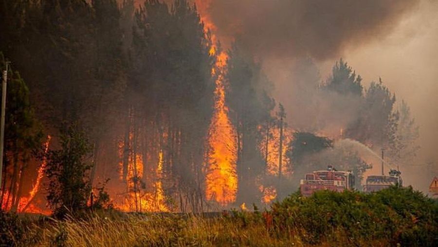 Petugas pemadam kebakaran bekerja setelah kebakaran yang terjadi di dekat Landiras, saat kebakaran hutan terus menyebar di wilayah Gironde di barat daya Prancis, Sabtu (16/7/2022). (SDIS 33 via AP)