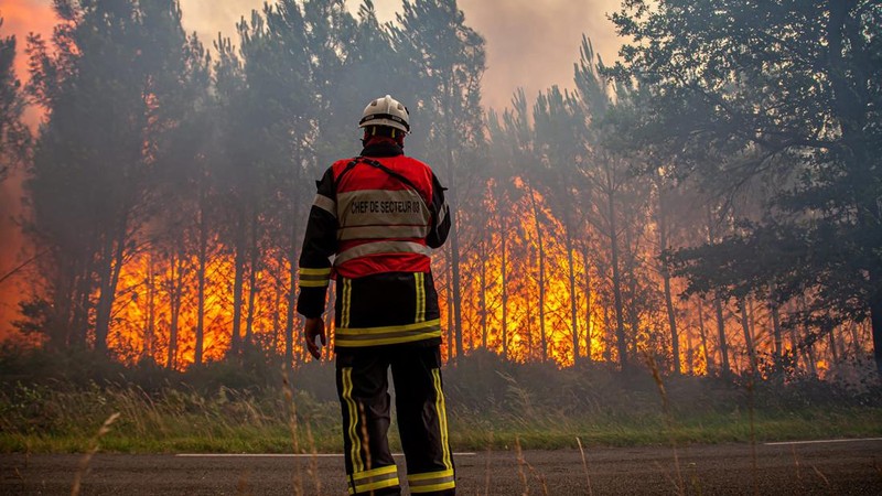 Petugas pemadam kebakaran bekerja setelah kebakaran yang terjadi di dekat Landiras, saat kebakaran hutan terus menyebar di wilayah Gironde di barat daya Prancis, Sabtu (16/7/2022). (SDIS 33 via AP)