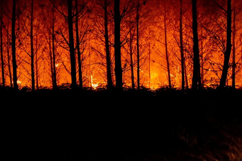 Petugas pemadam kebakaran bekerja setelah kebakaran yang terjadi di dekat Landiras, saat kebakaran hutan terus menyebar di wilayah Gironde di barat daya Prancis, Sabtu (16/7/2022). (SDIS 33 via AP)