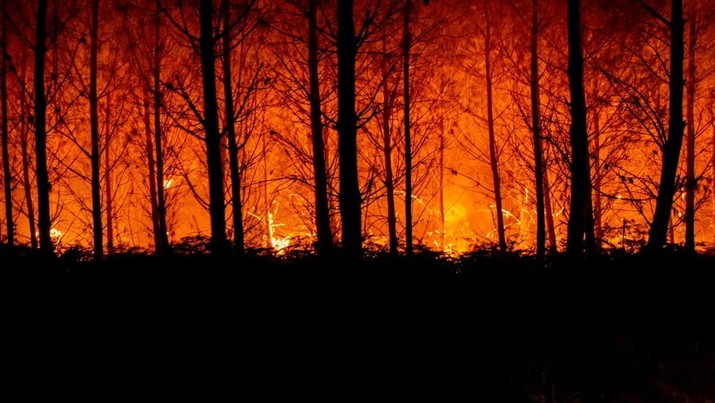Pemandangan menunjukkan pohon-pohon terbakar di tengah kebakaran yang terjadi di dekat Landiras, saat kebakaran hutan terus menyebar di wilayah Gironde di barat daya Prancis, Sabtu (16/7/2022). (SDIS 33/Handout via REUTERS)