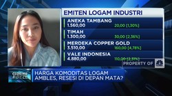 Demand Anjlok & Ancaman Resesi, Harga Komoditas Logam Ambles