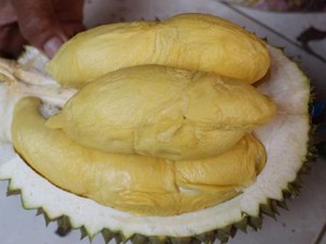 Mantap! Durian Merah hingga Durian Kanjeng yang Spesial dari Jawa Timur