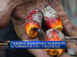 Sri Mulyani Bebaskan Pajak CPO, Ini Alasannya