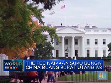 Gak Cuma China, Jepang Juga Ikutan Guyur Surat Utang AS