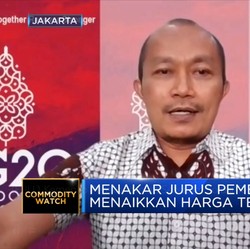 Pemerintah Sebut Ini Dia Solusi Terbaik Naikkan TBS Sawit