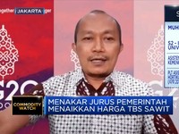 Pemerintah Sebut Ini Dia Solusi Terbaik Naikkan TBS Sawit