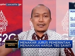 Pemerintah Sebut Ini Dia Solusi Terbaik Naikkan TBS Sawit