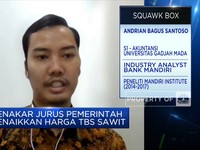 Pungutan Ekspor CPO Disetop, Harga TBS Sawit Bisa Cepat Naik?
