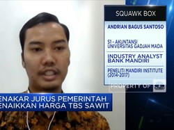 Pungutan Ekspor CPO Disetop, Harga TBS Sawit Bisa Cepat Naik?