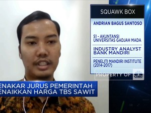 Pungutan Ekspor CPO Disetop, Harga TBS Sawit Bisa Cepat Naik?